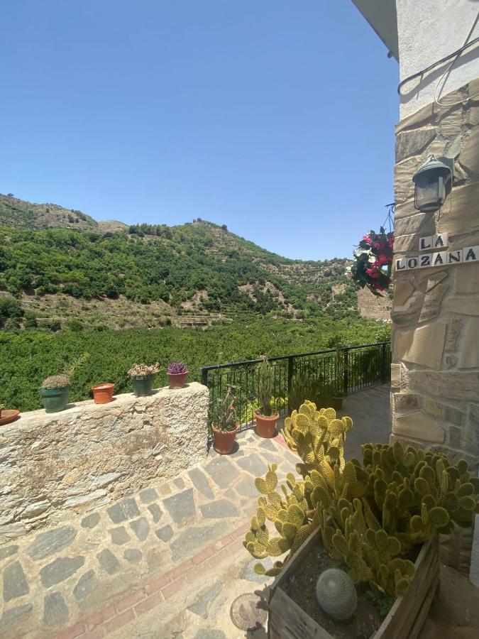 La Lozana - Rio Verde Jete Exterior foto